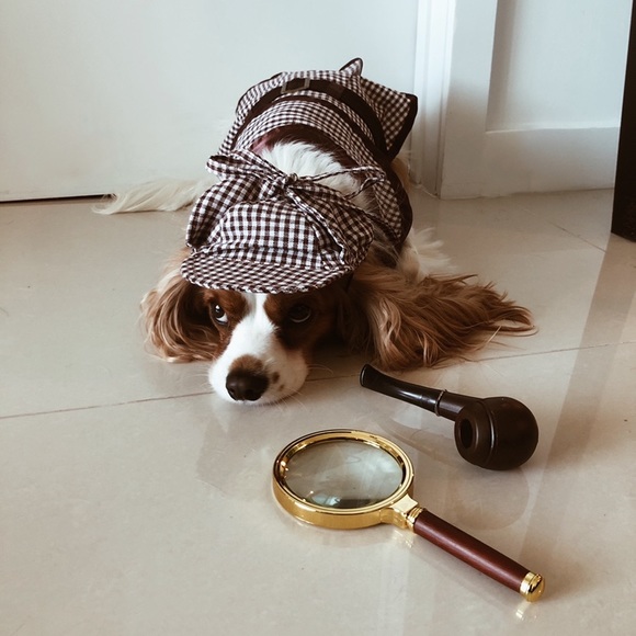 sherlock holmes dog outfit